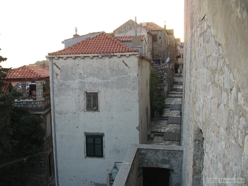 IMG_8643.jpg