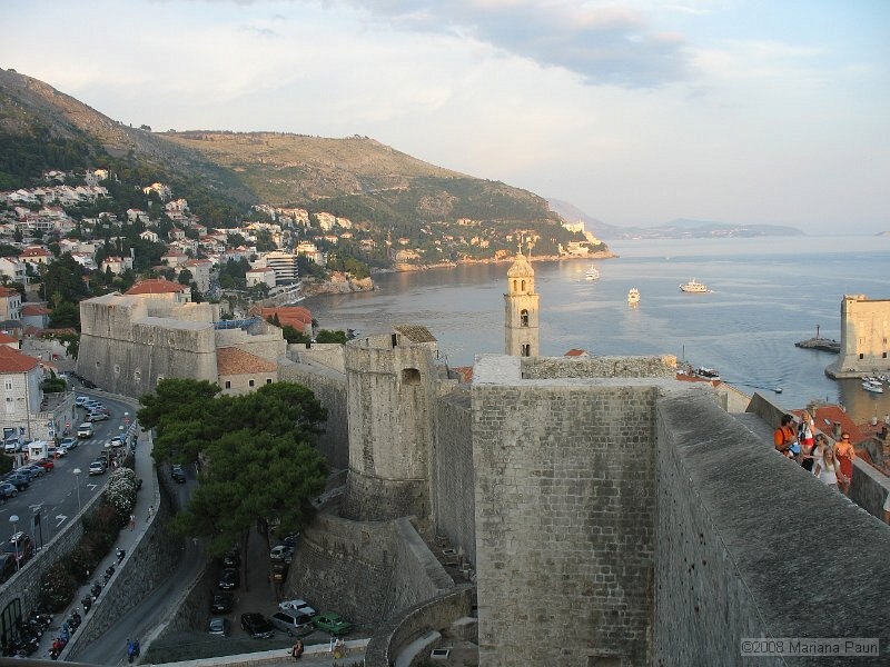 IMG_8644.jpg
