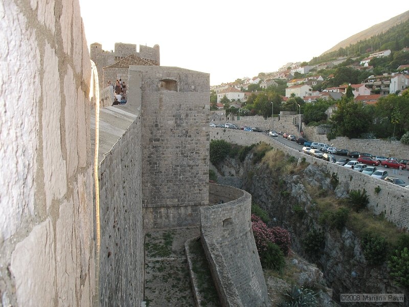 IMG_8646.jpg
