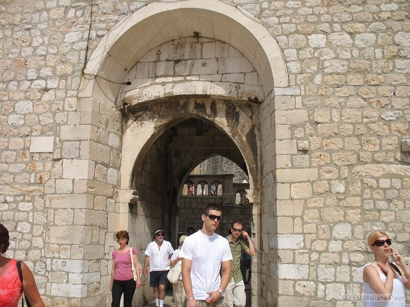 IMG_8687.jpg