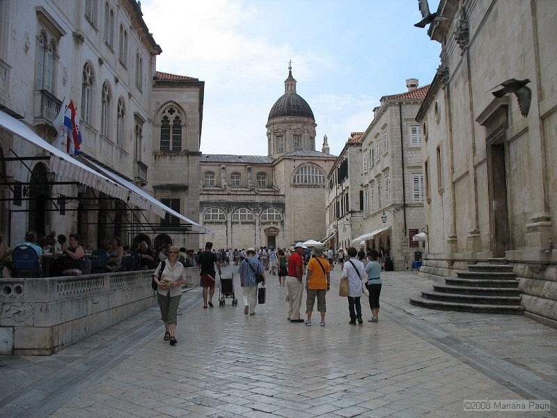 IMG_8728.jpg