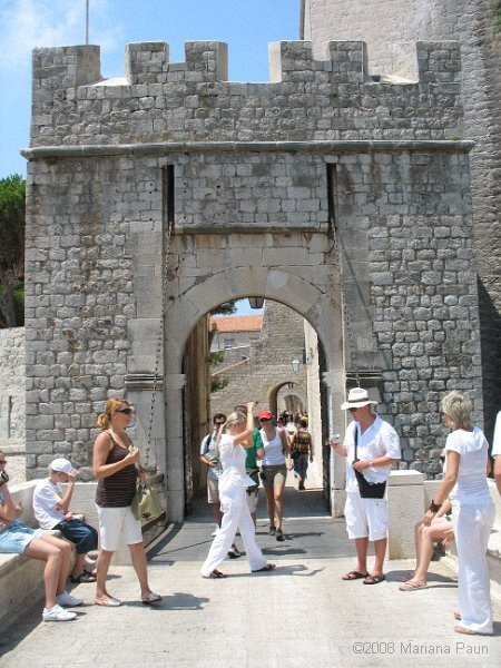 IMG_8769.jpg