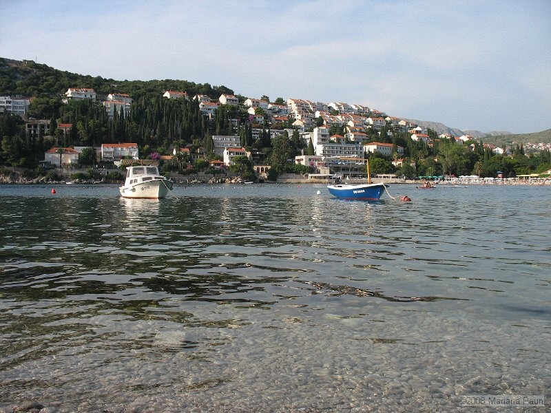 IMG_8785.jpg