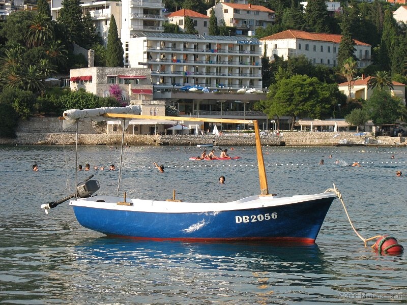 IMG_8787.jpg