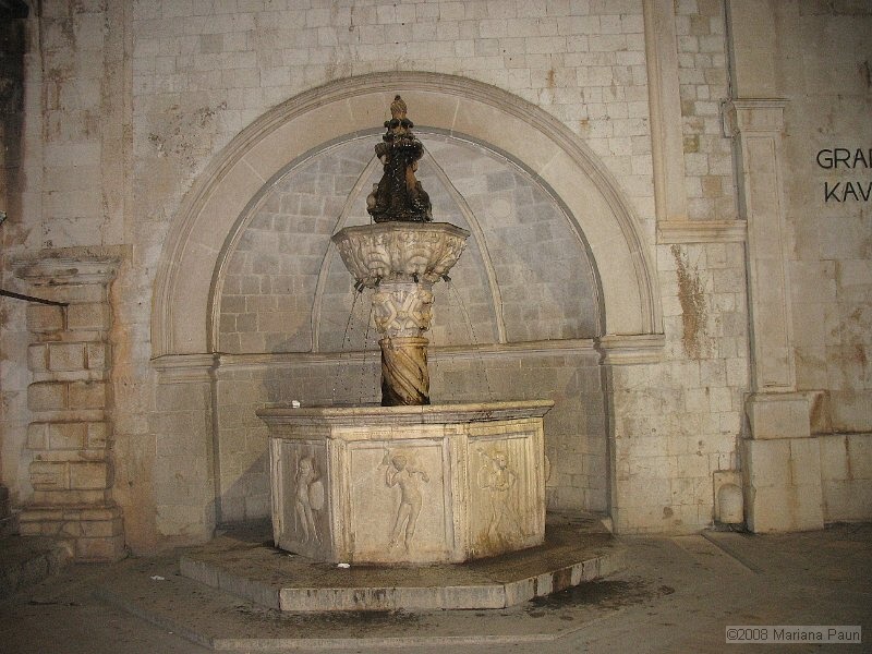 IMG_8792.jpg