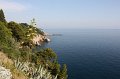 IMG_0326