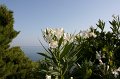 IMG_0327