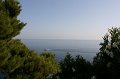 IMG_0329