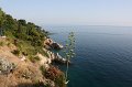 IMG_0333