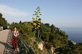 IMG_0337