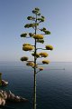 IMG_0338