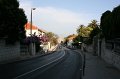 IMG_0341