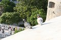 IMG_0373