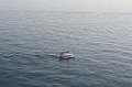 IMG_0379
