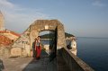 IMG_0384