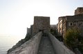 IMG_0392