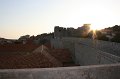 IMG_0443