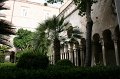 IMG_0490