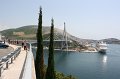 IMG_0567