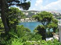 IMG_8467