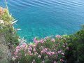 IMG_8488
