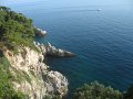 IMG_8489