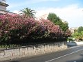 IMG_8496