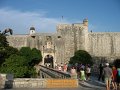 IMG_8503