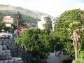IMG_8505