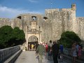IMG_8506