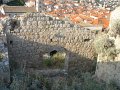 IMG_8537