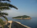IMG_8548