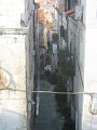 IMG_8551