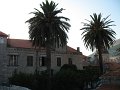 IMG_8576