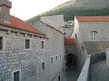 IMG_8608