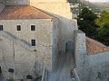 IMG_8623