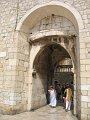 IMG_8688