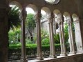 IMG_8695