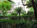 IMG_8697