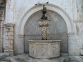 IMG_8729