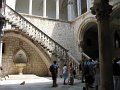 IMG_8747