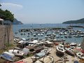 IMG_8761