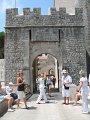 IMG_8769