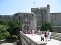 IMG_8782