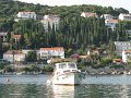 IMG_8786