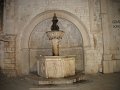 IMG_8792