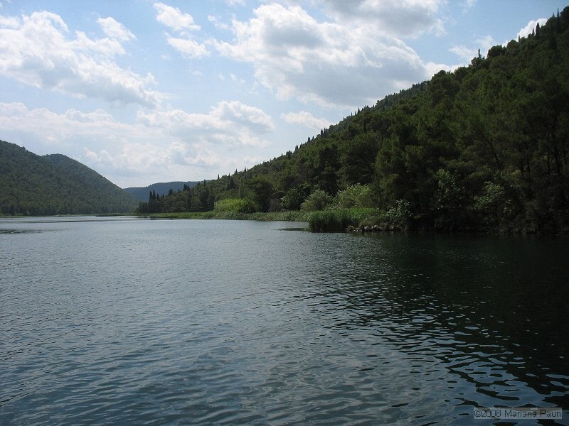 IMG_9213.jpg