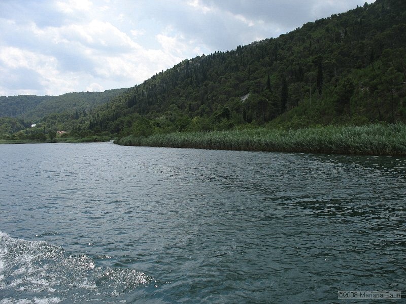 IMG_9220.jpg