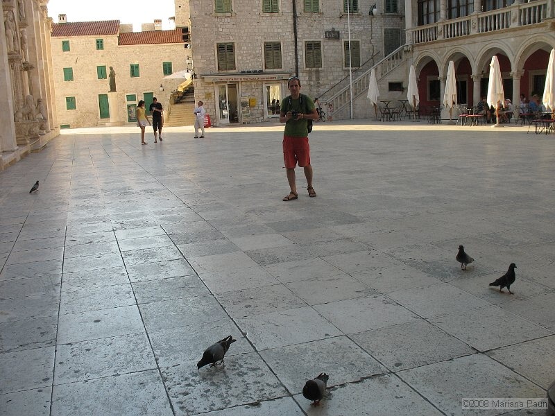 IMG_9313.jpg