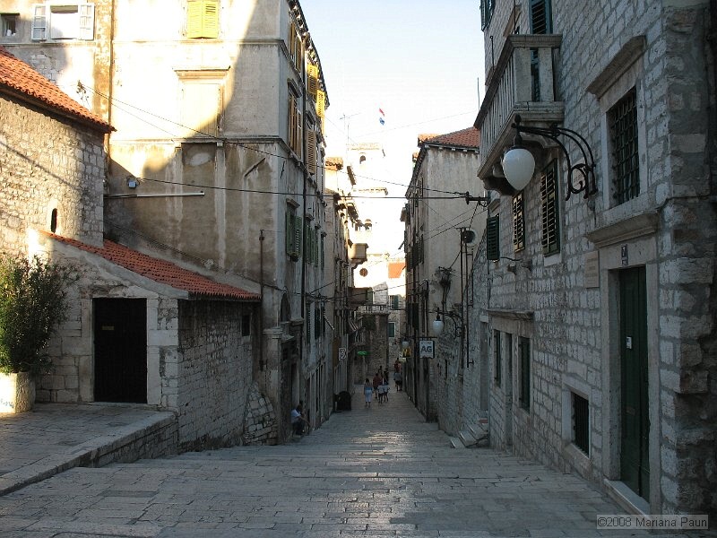 IMG_9316.jpg